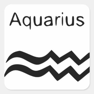 Aquarius Square Sticker