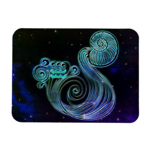 aquarius the water carrier zodiac magnet