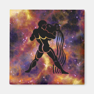 aquarius water carrier magnet
