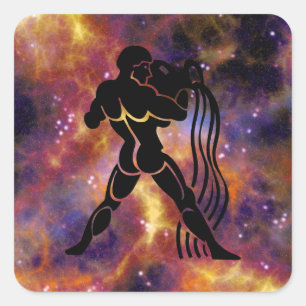 aquarius water carrier stickers