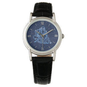 Aquarius Zodiac Sign and Constellation Watch