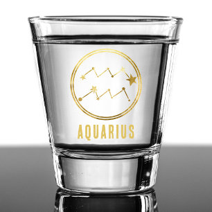 Aquarius Zodiac Sign Astrology Horoscope Gold Shot Glass