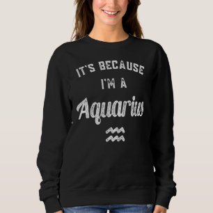 Aquarius Zodiac Sign Sweatshirt