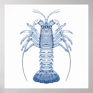 Aquatic Art ~ Lobsters Poster