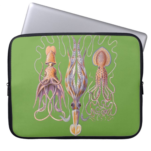 Aquatic Art  Octopuses Laptop Sleeve (Front)