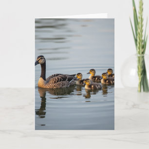 Aquatic Bird Mothers Day Card