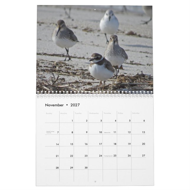 Aquatic Birds Calendar (Nov 2027)