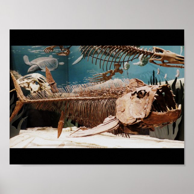 Aquatic Dino Poster (Front)