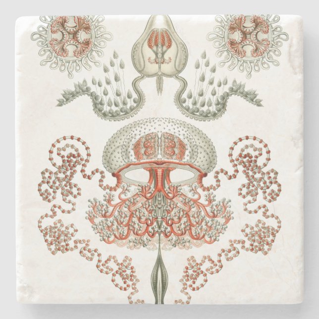 Aquatic Life ~ Haeckel ~ Jellyfish Stone Coaster (Front)