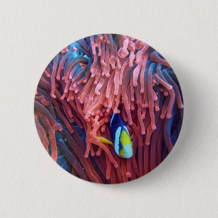 Aquatic Nautical Photos Marine Animal Photography  6 Cm Round Badge