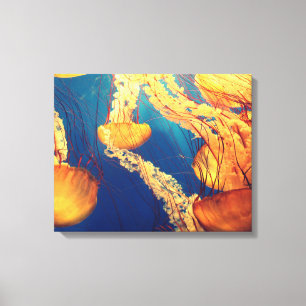 Aquatic Nautical Photos Marine Animal Photography Canvas Print