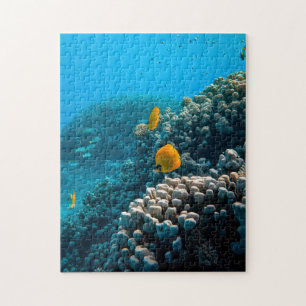 Aquatic Puzzles Nautical Photos Marine Fish Puzzle
