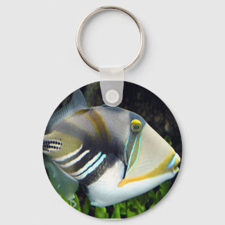 aquatic scenes trigger fish key ring
