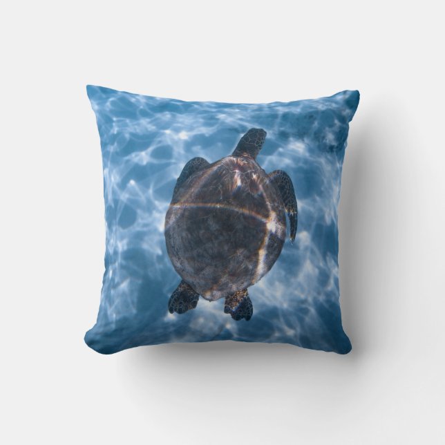Aquatic turtle cushion (Front)