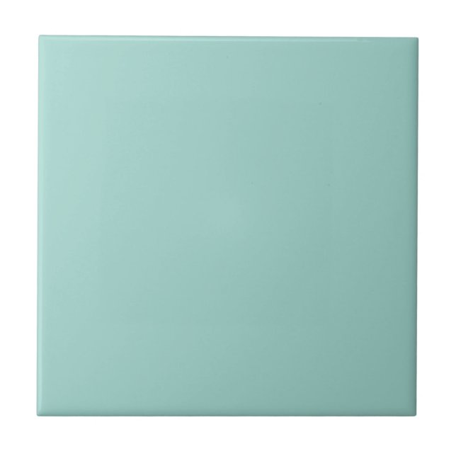 Aqueduct Turquoise Blue Kitchen and Bathroom Tile (Front)