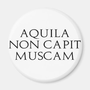 Aquila Non Capit Muscam Magnet