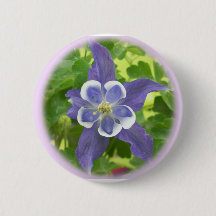 Aquilegia Columbine Flower Button