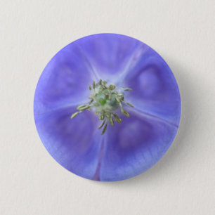 Aquilegia Flower Button