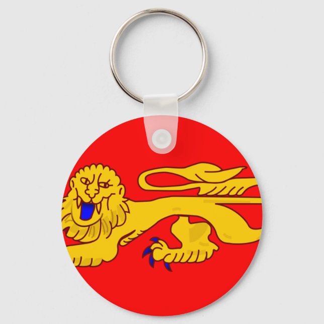 Aquitaine, France flag Key Ring (Front)