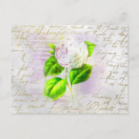 ** AR23 Floral Old Handwriting Vintage Romantic