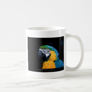 Ara ararauna - Blue-and-yellow Macaw 01 Coffee Mug