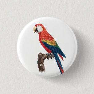 Ara Canga Parrot 3 Cm Round Badge