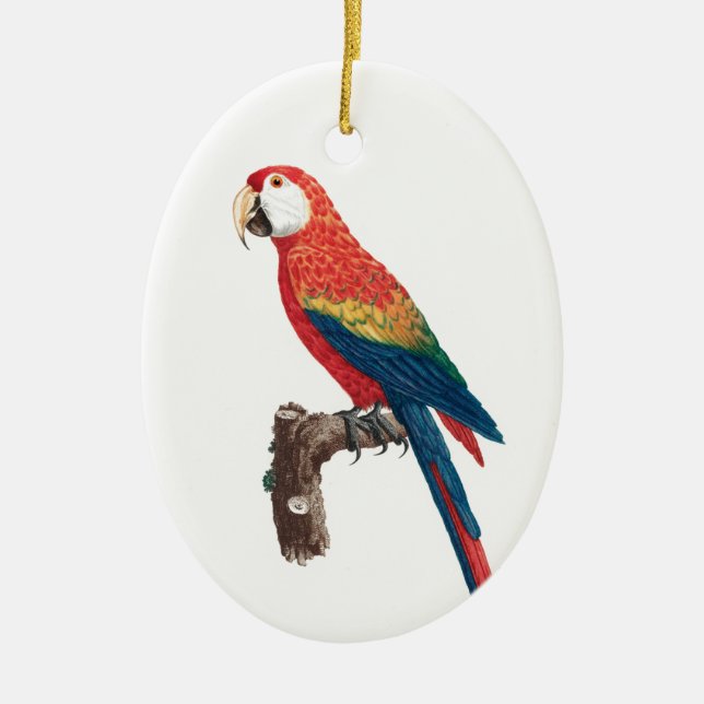 Ara Canga Parrot Ceramic Tree Decoration (Front)