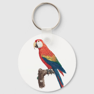 Ara Canga Parrot Key Ring