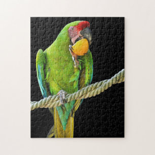 Ara Militaris Green Parrot Jigsaw Puzzle
