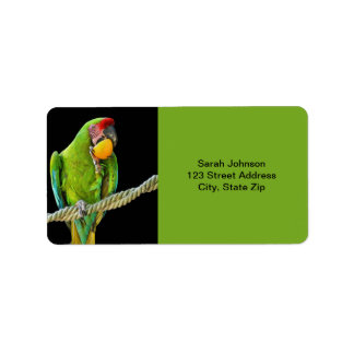 Ara Militaris Green Parrot Label