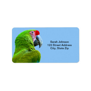 Ara Militaris Green Parrot Label