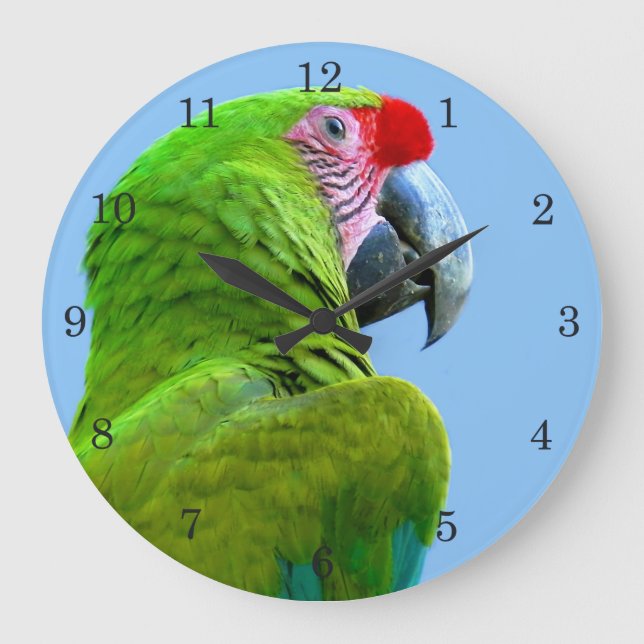 Ara Militaris Green Parrot Large Clock (Front)