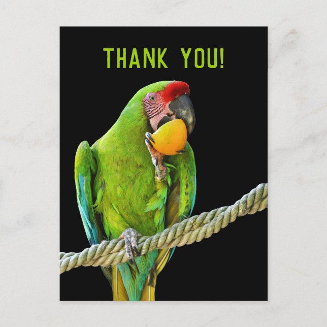 Ara Militaris Green Parrot Postcard (Front)