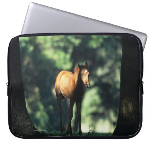 Arab Foal in the Trees Laptop Sleeve