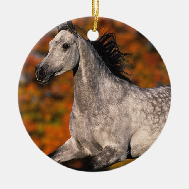 Arab Horse: Autumn 1 Ceramic Tree Decoration (Front)