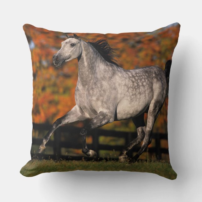 Arab Horse: Autumn 1 Cushion (Front)