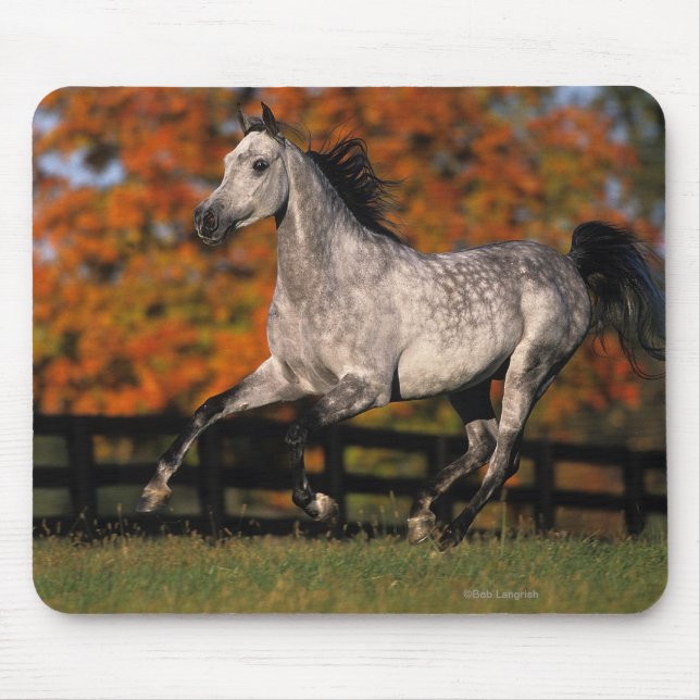 Arab Horse: Autumn 1 Mouse Pad (Front)