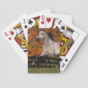 Arab Horse: Autumn 1 Playing Cards