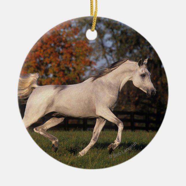 Arab Horse: Autumn 2 Ceramic Tree Decoration (Front)