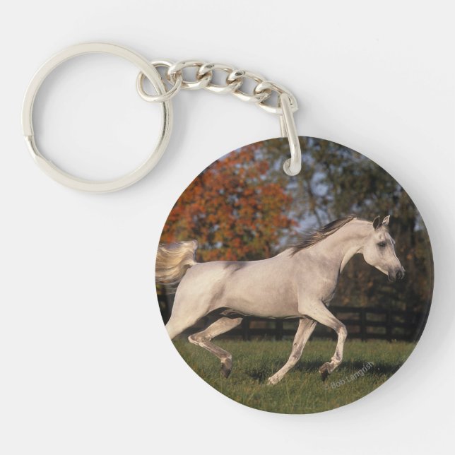 Arab Horse: Autumn 2 Key Ring (Front)