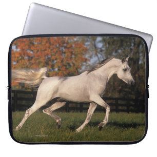 Arab Horse: Autumn 2 Laptop Sleeve