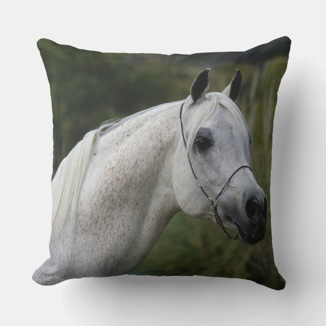 Arab Horse Headshot 1 Cushion (Front)