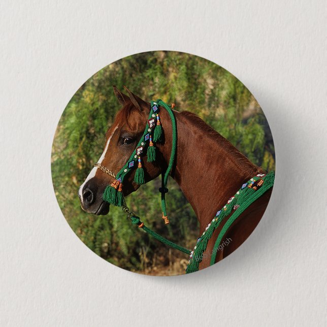 Arab Horse Headshot with Bridle 6 Cm Round Badge (Front)