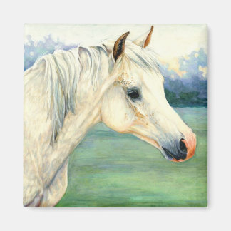 Arab Horse Magnet