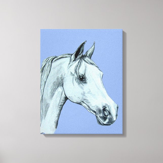 Arab Horse Pencil Portrait on Blue Background Canvas Print (Front)