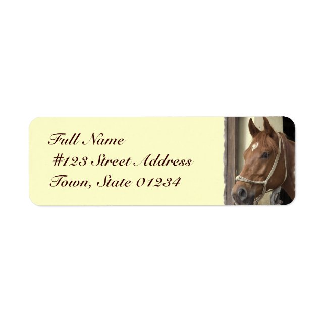 Arab Horse Return Address Label (Front)
