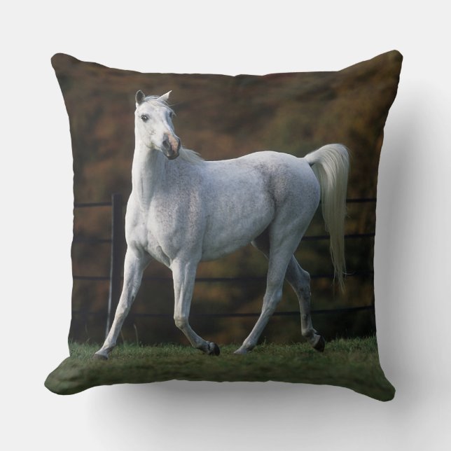 Arab Horse Running 1 Cushion (Front)