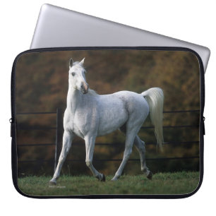 Arab Horse Running 1 Laptop Sleeve