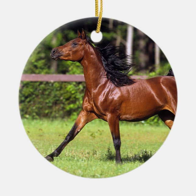 Arab Horse Running 2 Ceramic Tree Decoration (Front)