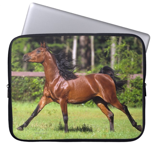 Arab Horse Running 2 Laptop Sleeve (Front)